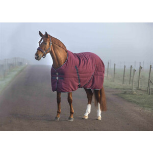 Rambo Stable Rug 100g Embossed/Shiny Lining